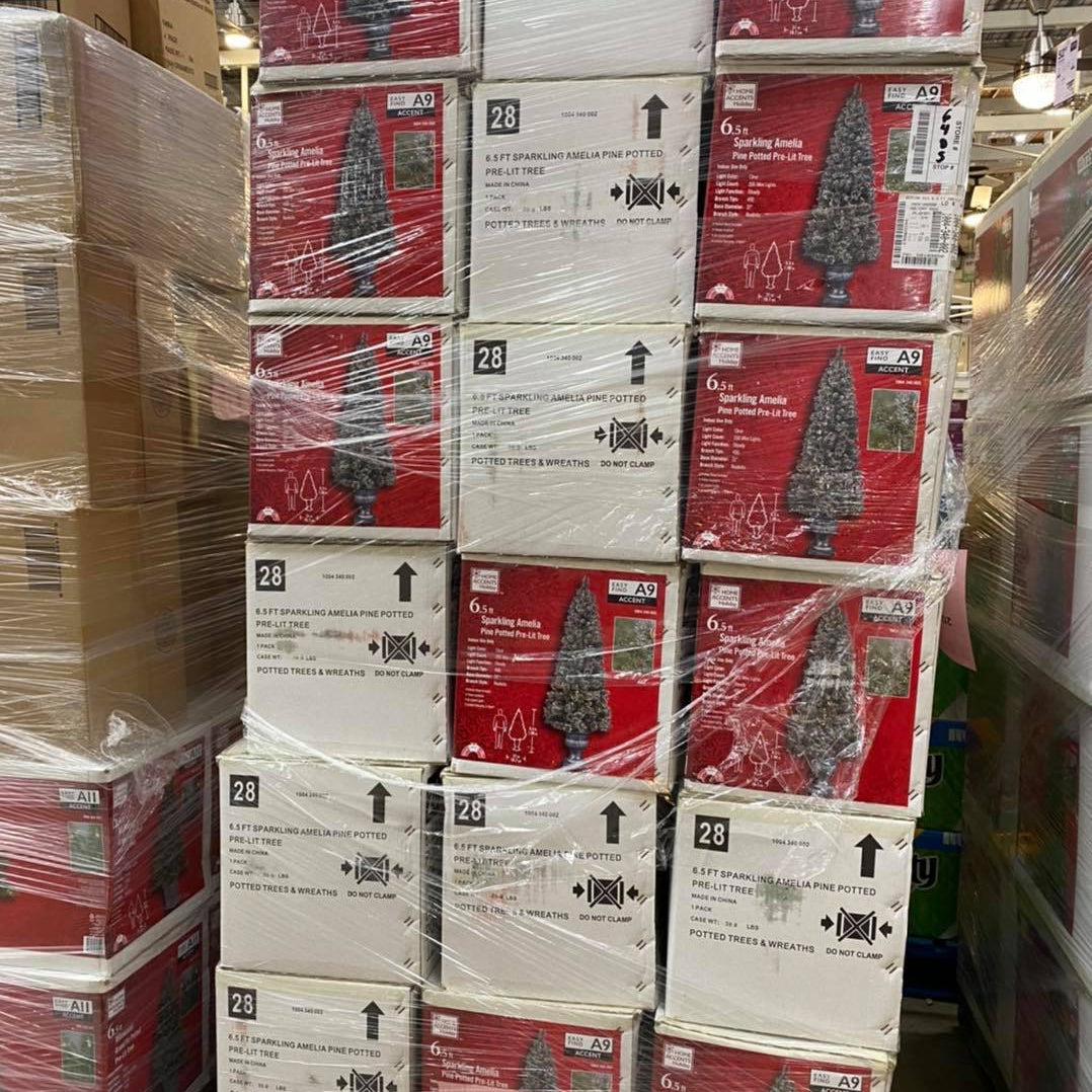 🎅Christmas🎄SETS PALLET – LOT ID: 251101 – Untested Customer Return